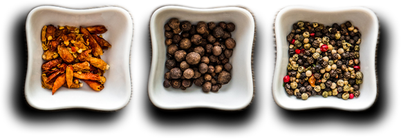 Shahi Caterers - Best Catering Services in London UK